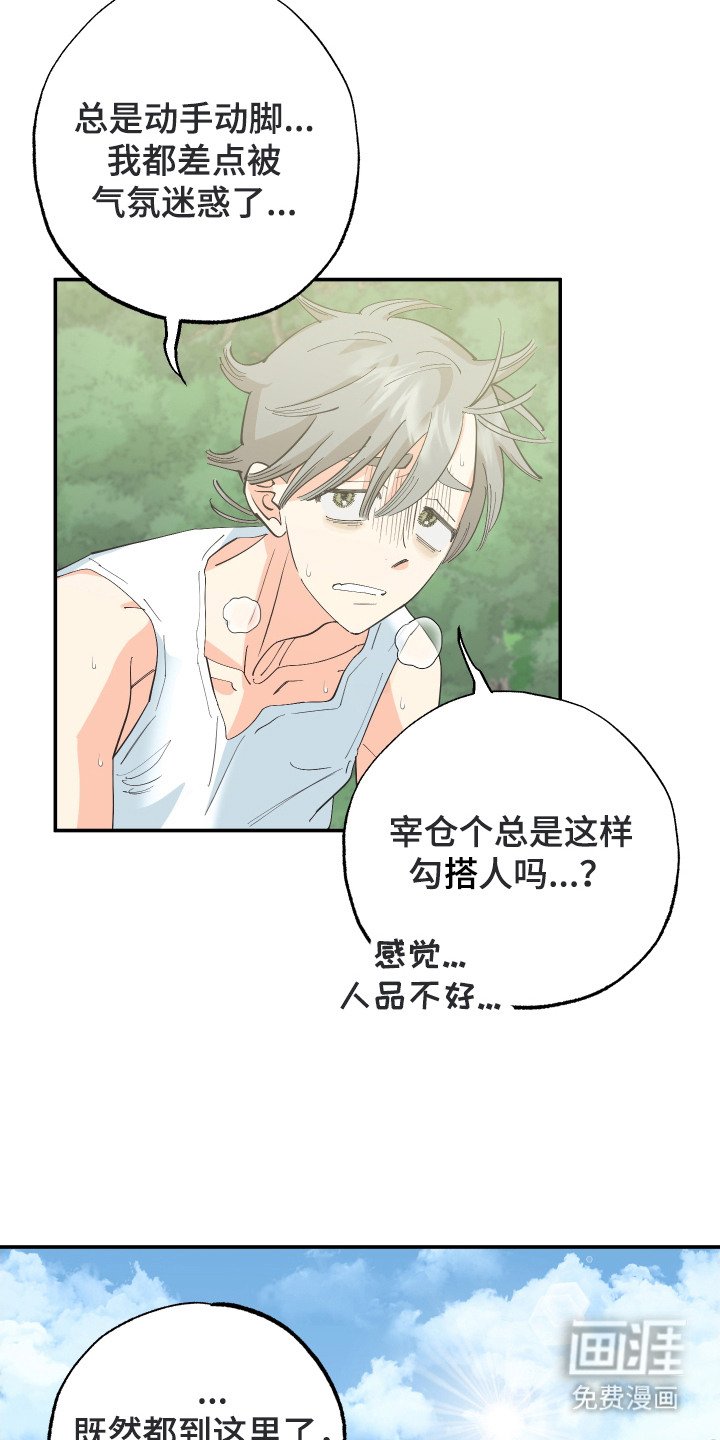 第13章：荒野求生