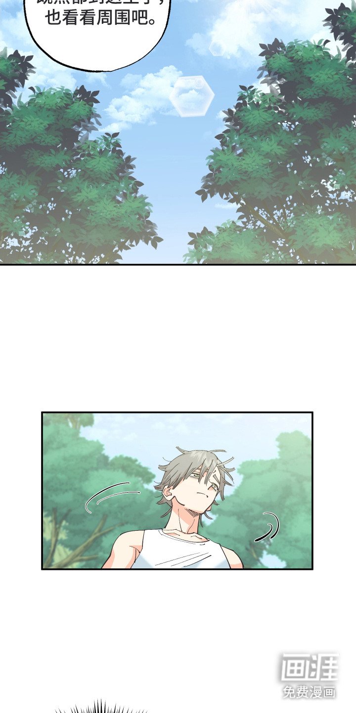 第13章：荒野求生