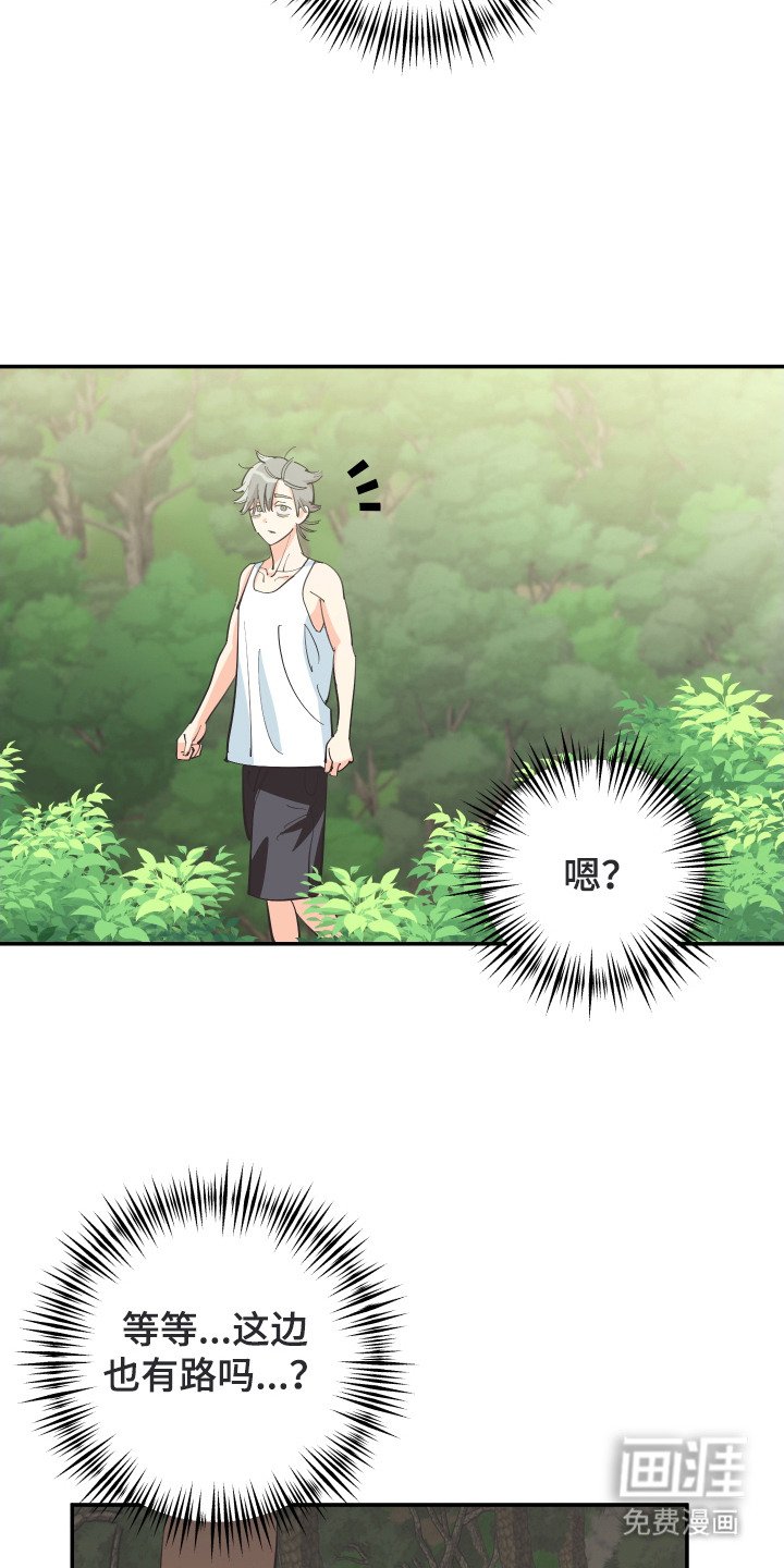 第13章：荒野求生