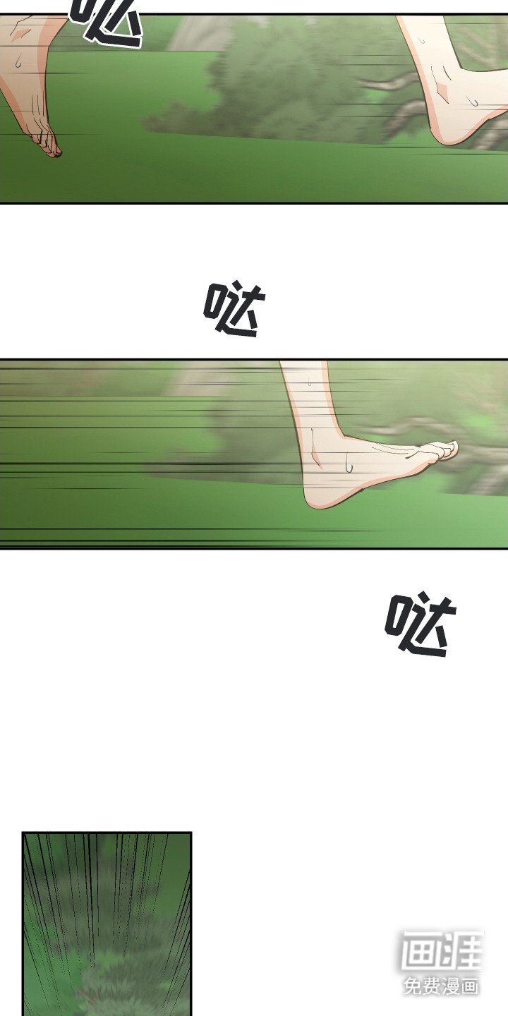 第13章：荒野求生