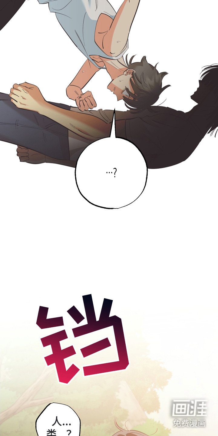 第13章：荒野求生