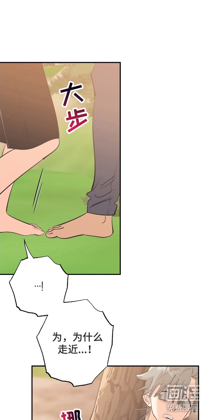 第15章：纠结