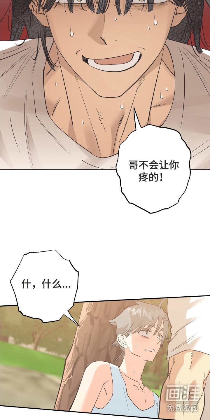 第15章：纠结
