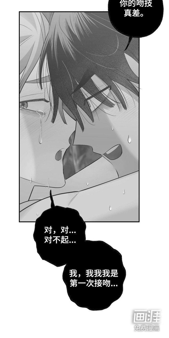 第17章：看样东西