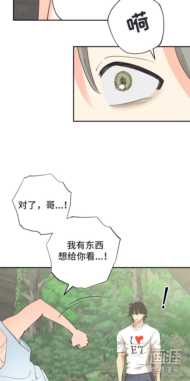 第17章：看样东西