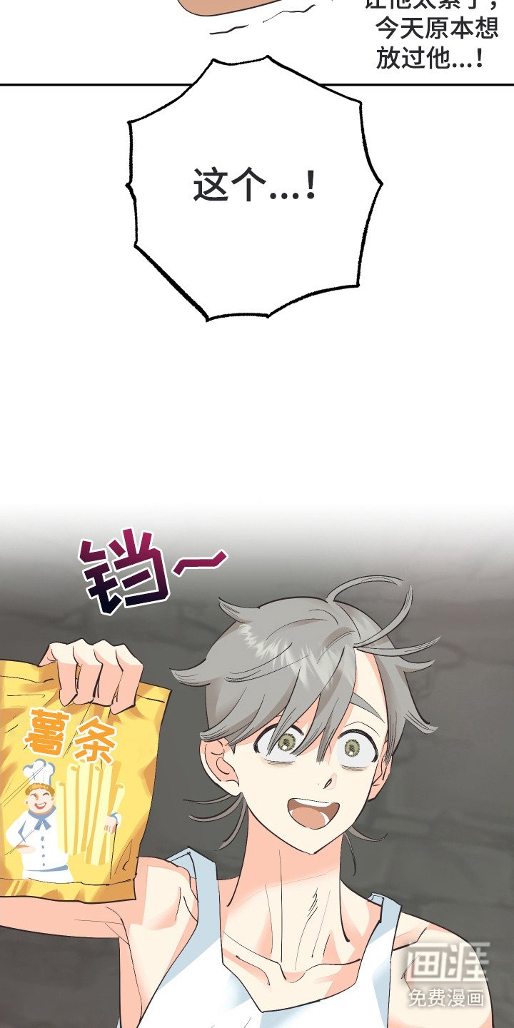 第17章：看样东西
