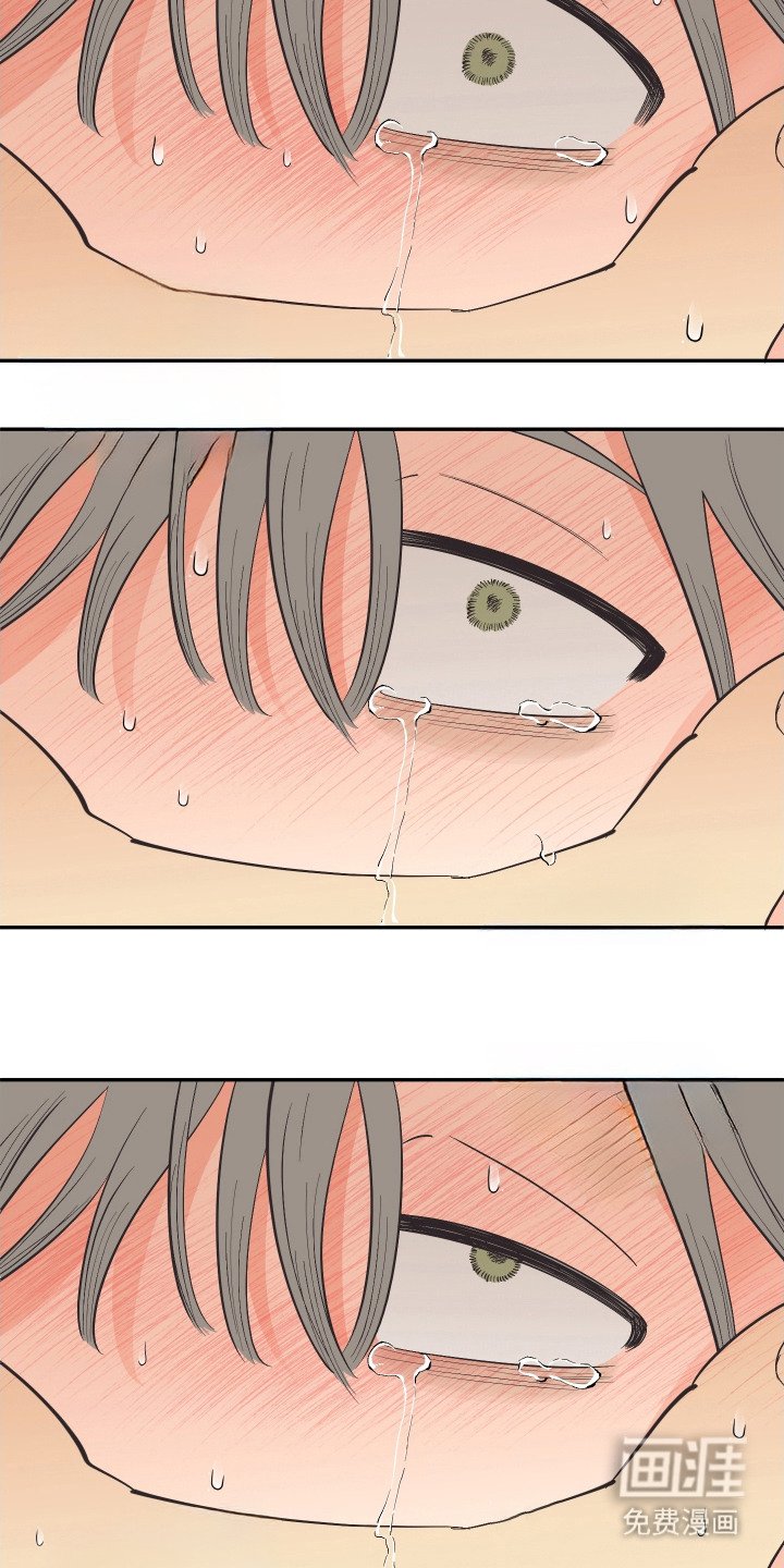 第19章：晕倒