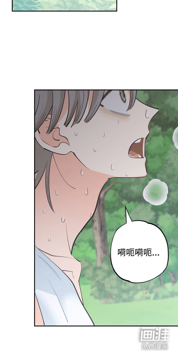 第20章：亲眼确认