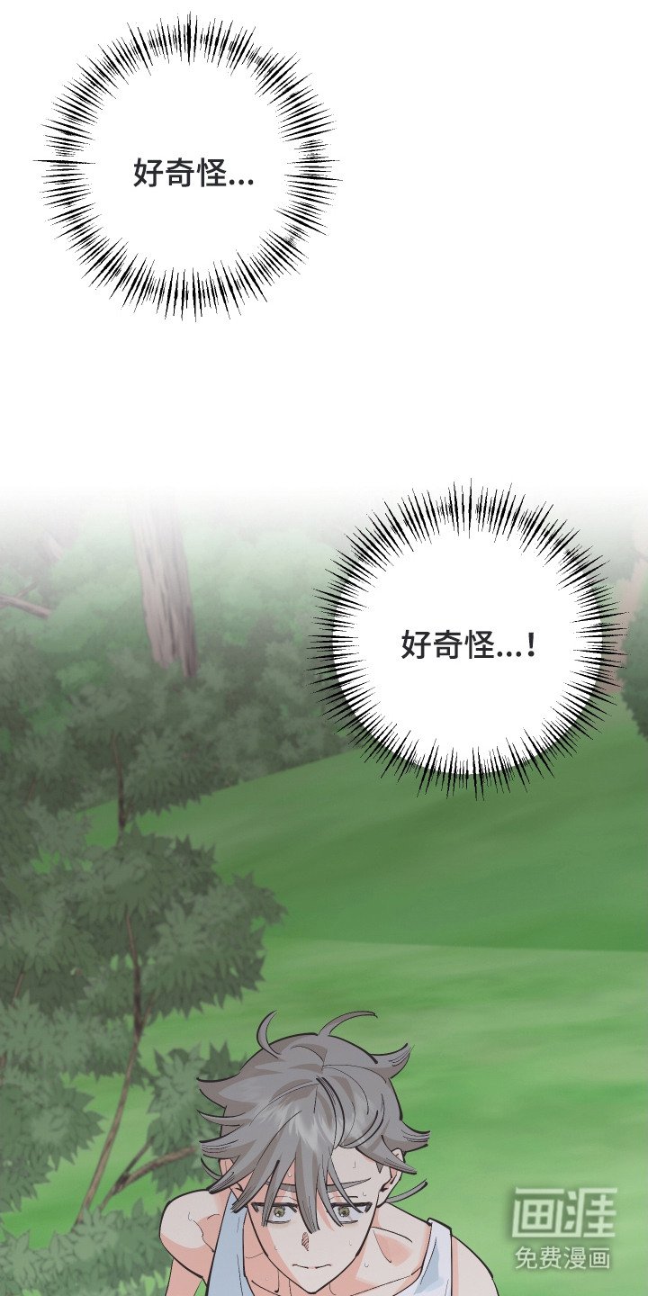 第20章：亲眼确认