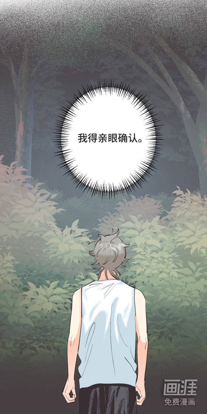 第20章：亲眼确认