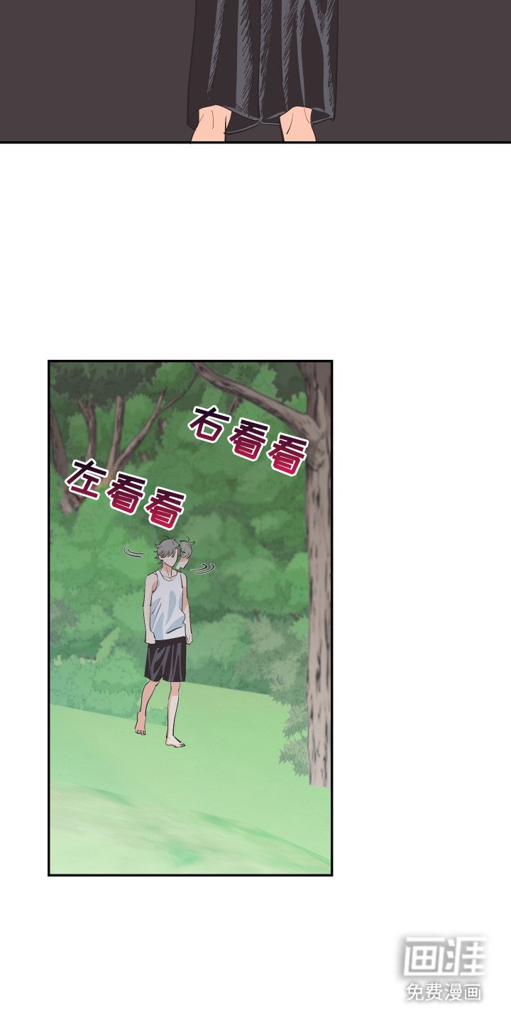 第20章：亲眼确认