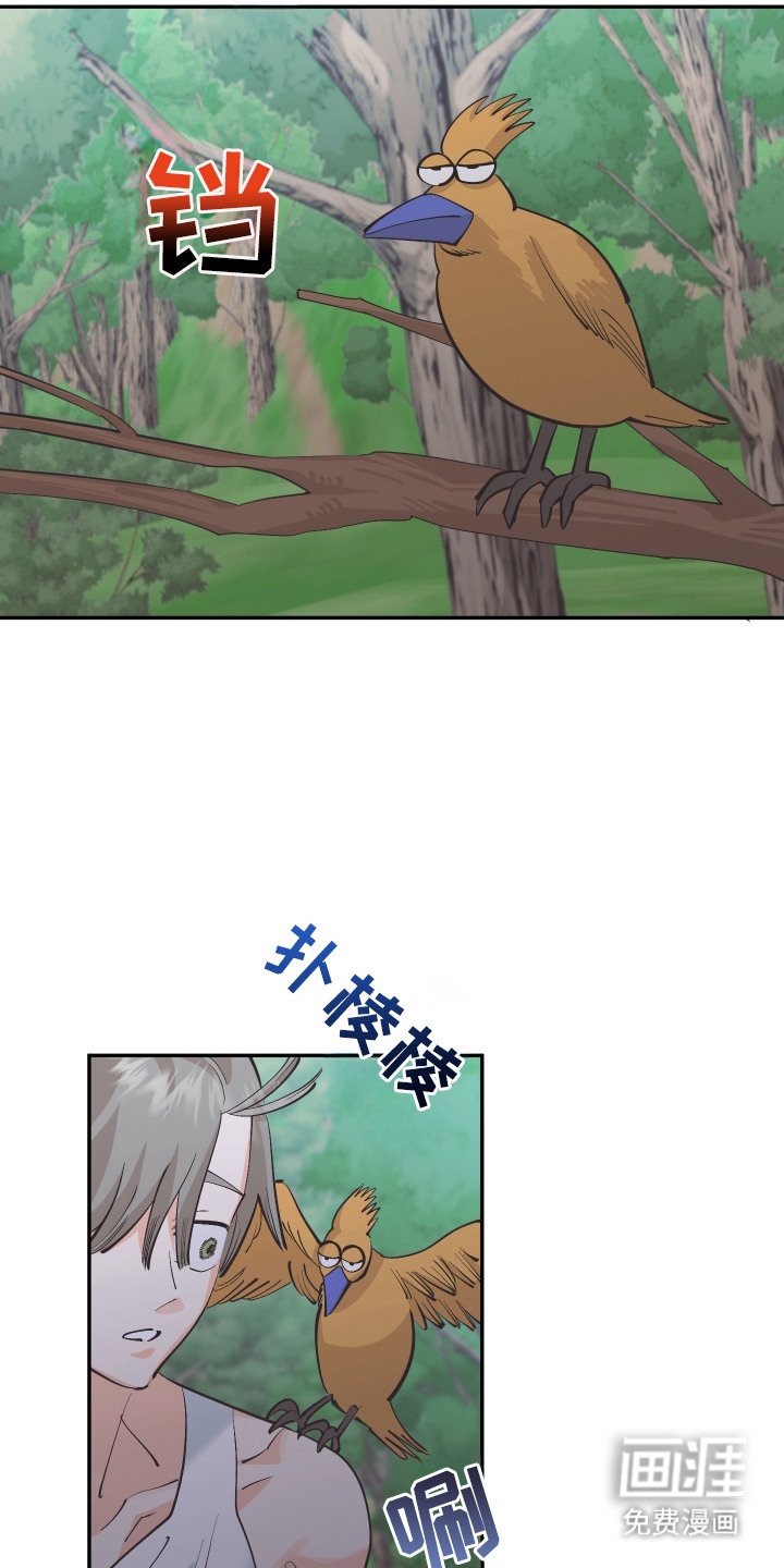 第20章：亲眼确认