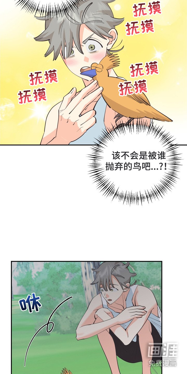 第20章：亲眼确认