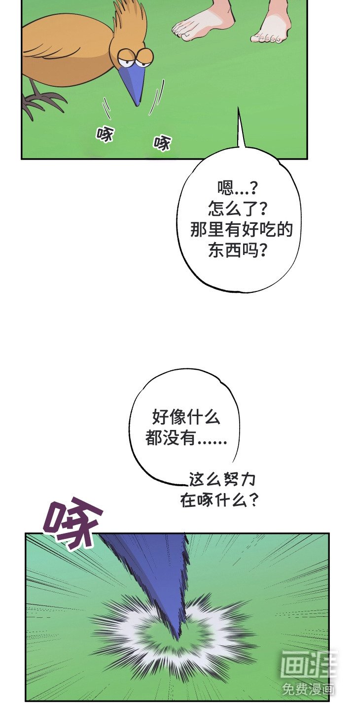 第20章：亲眼确认
