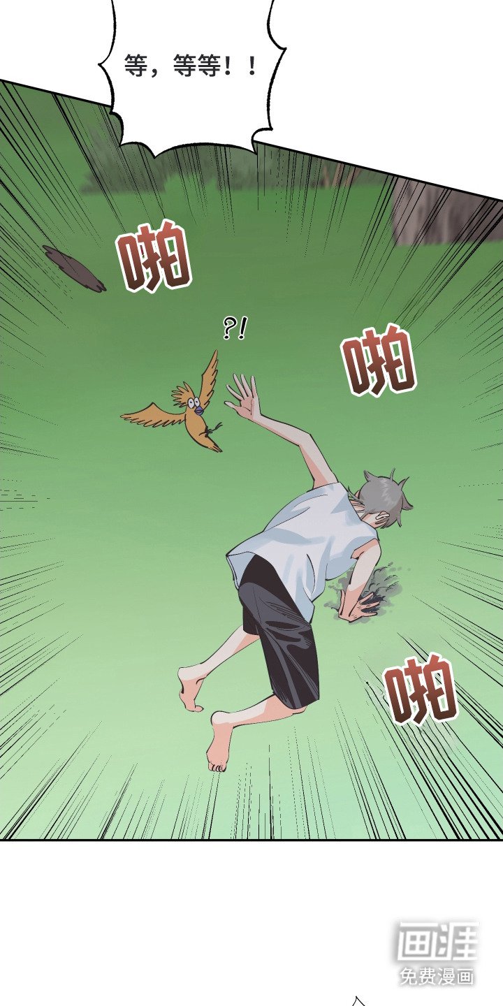 第20章：亲眼确认