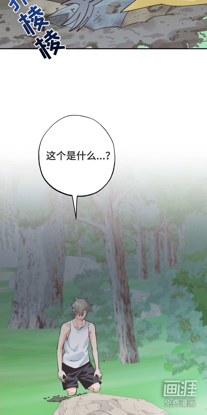 第20章：亲眼确认