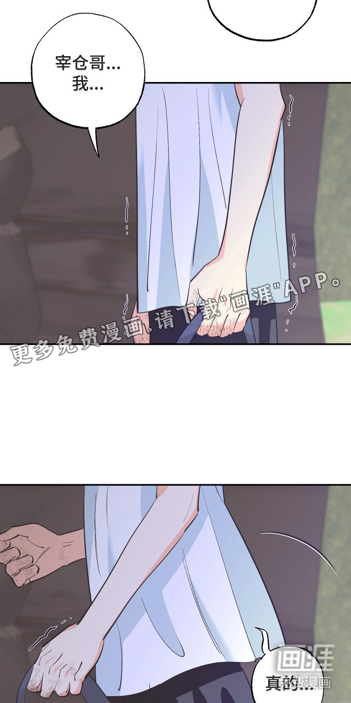 第21章：地图