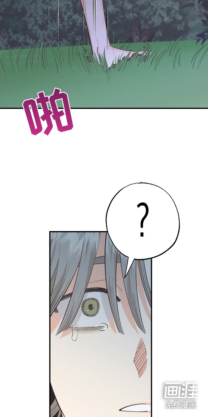 第22章：出口