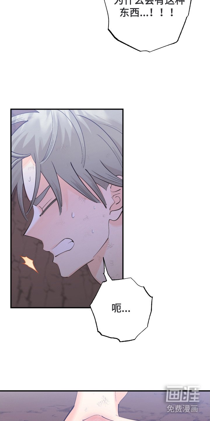 第23章：陷阱