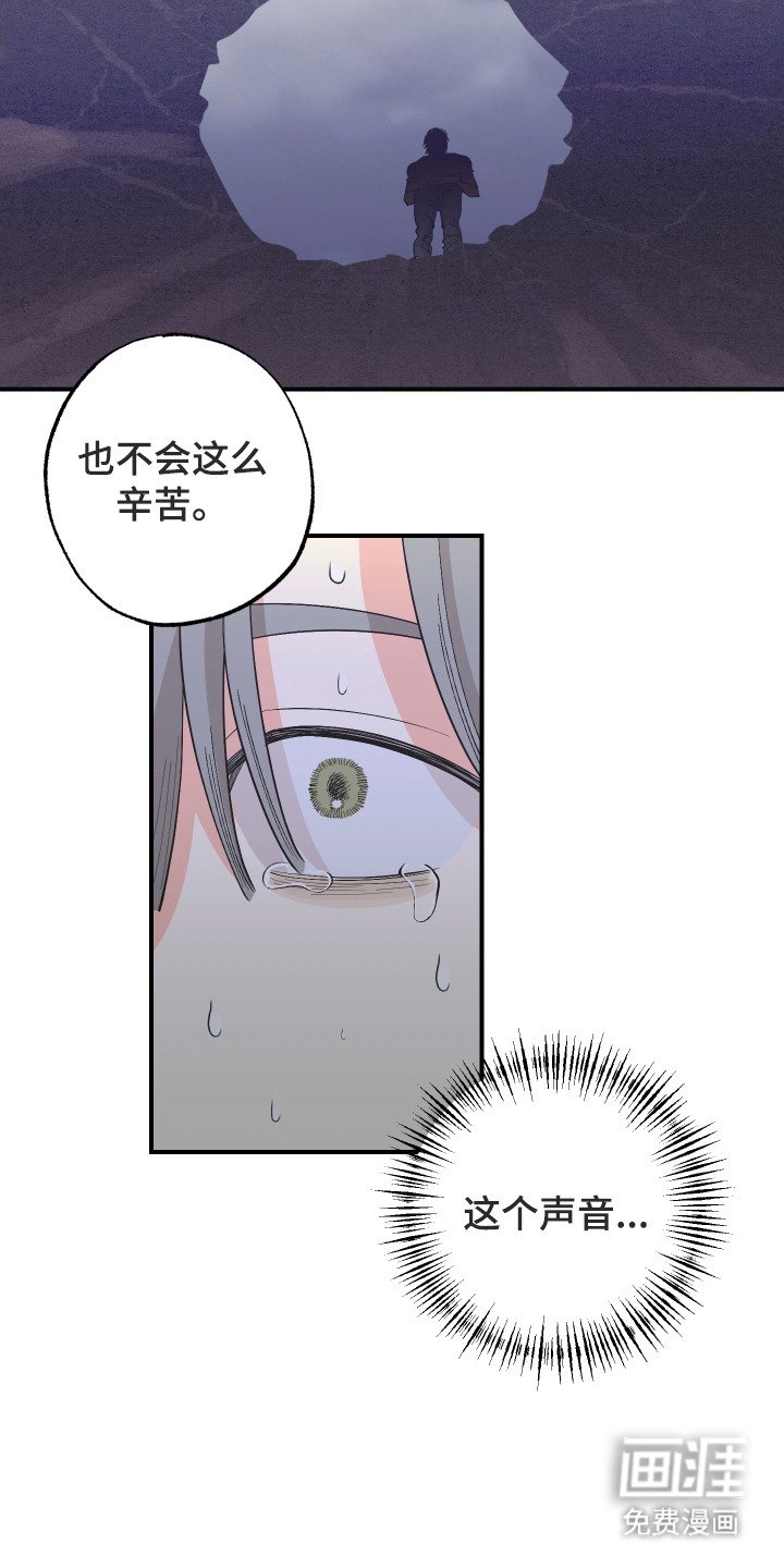 第23章：陷阱