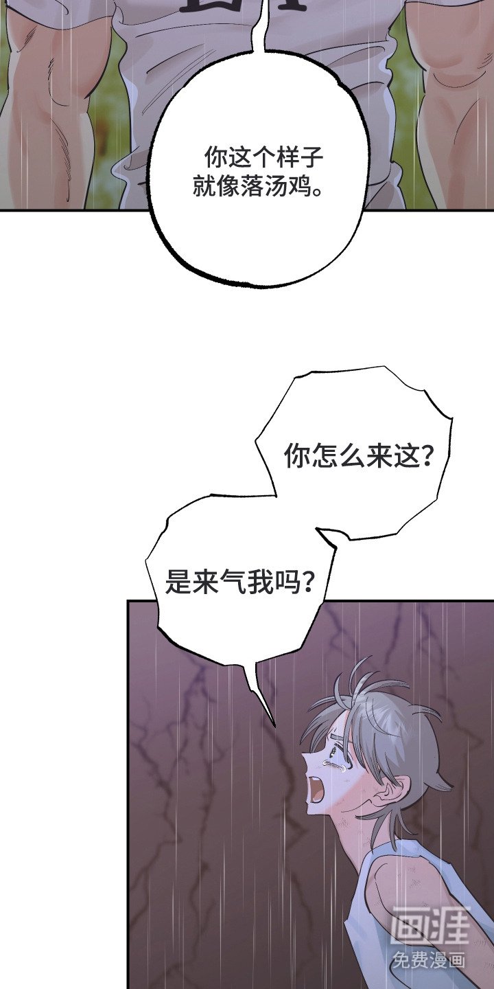 第23章：陷阱