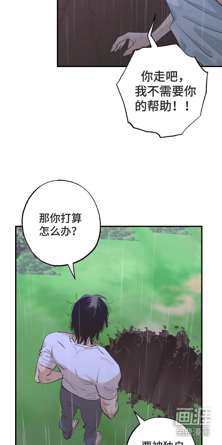 第23章：陷阱