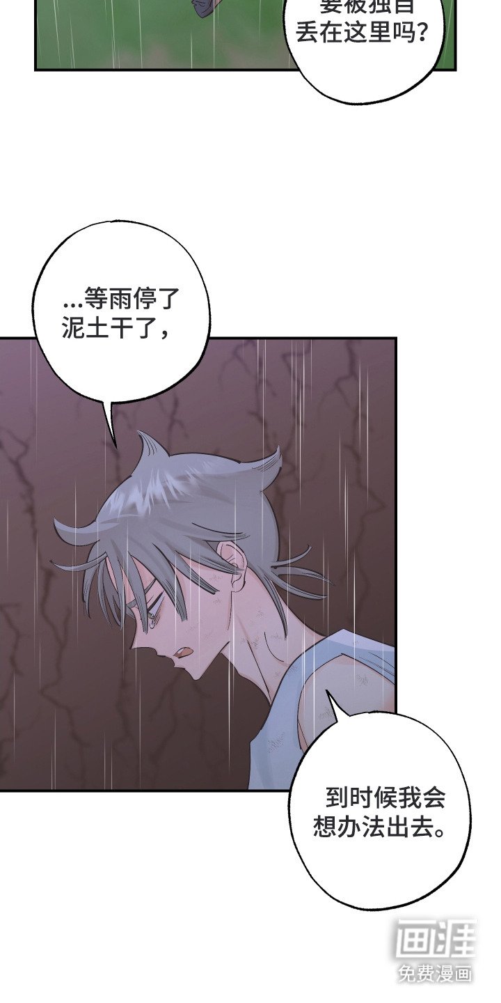第23章：陷阱
