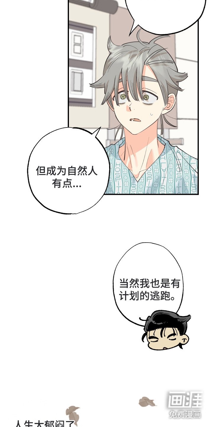 第26章：缘由