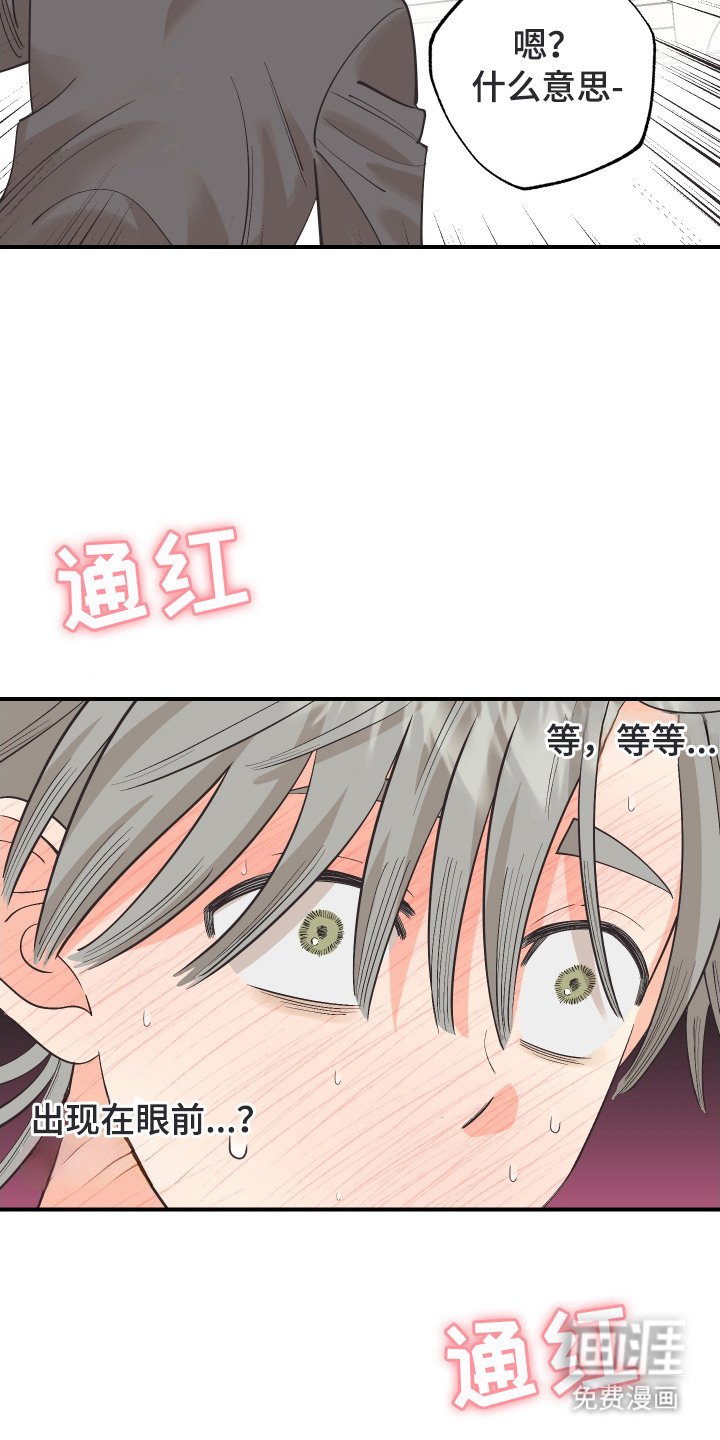第26章：缘由