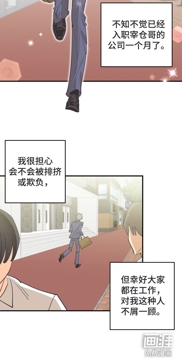 第29章：成功入职（完结）