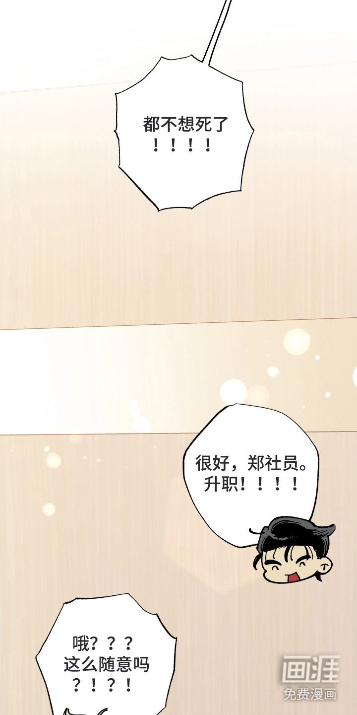 第29章：成功入职（完结）