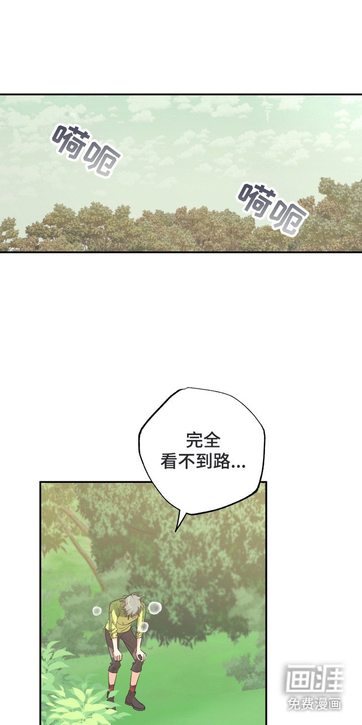 第6章：零食袋