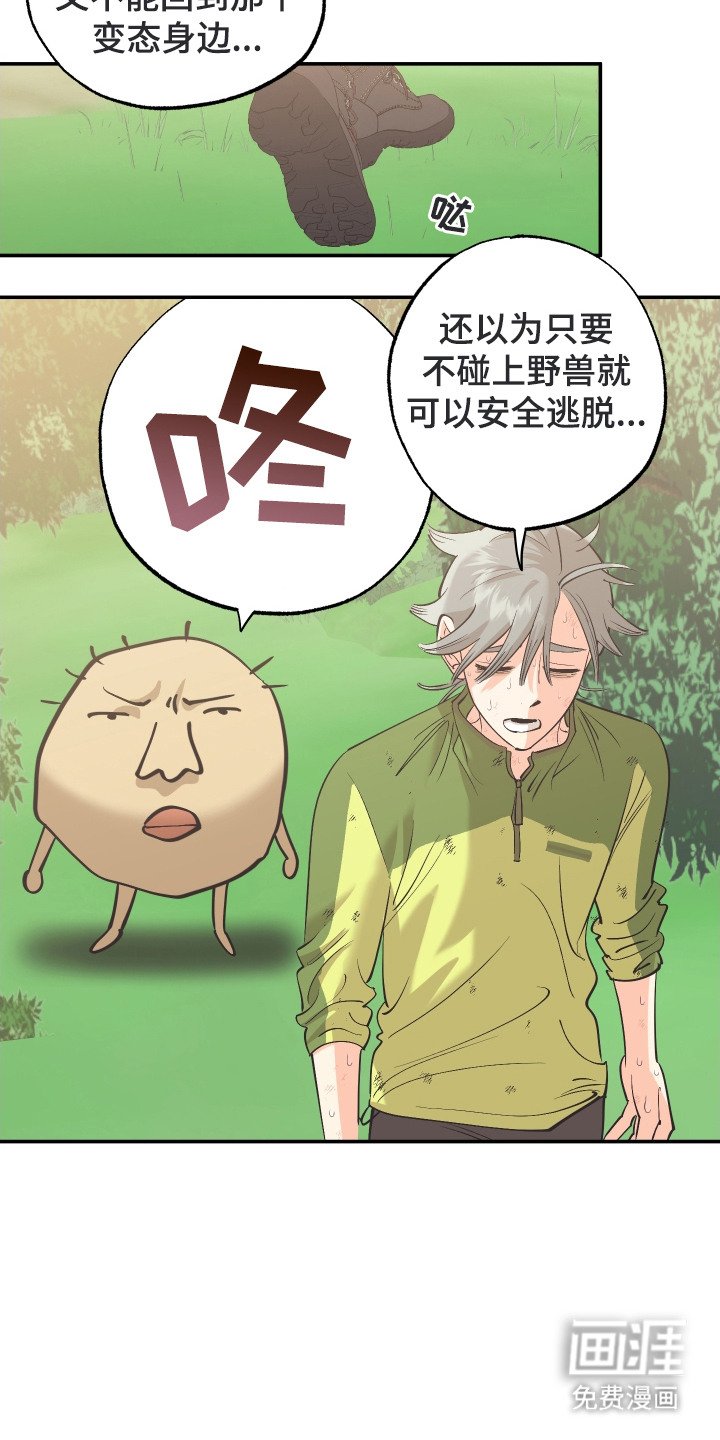 第6章：零食袋