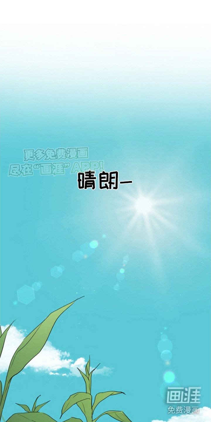 第11章：告别