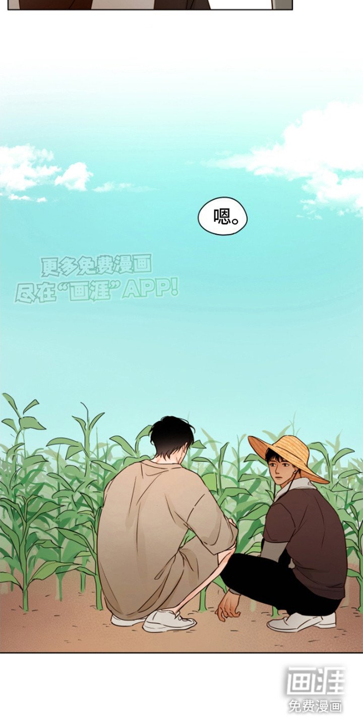 第11章：告别