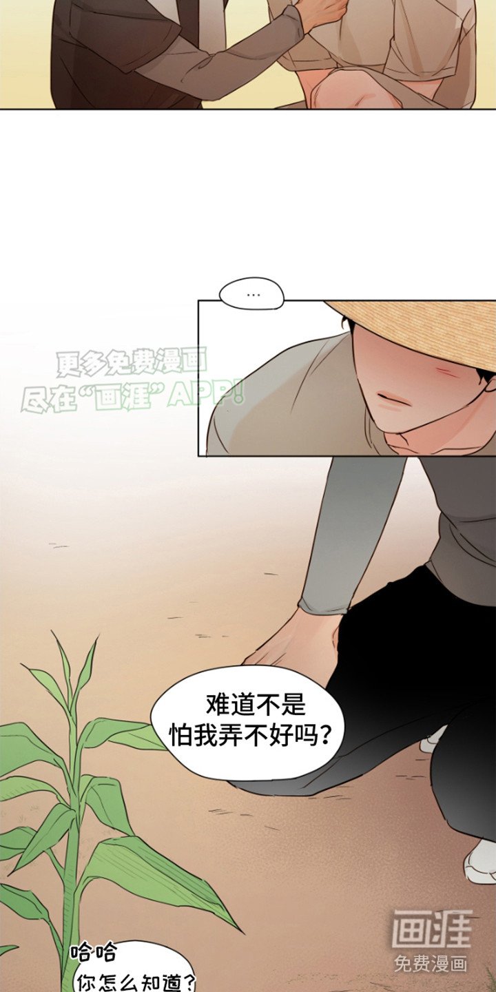 第11章：告别