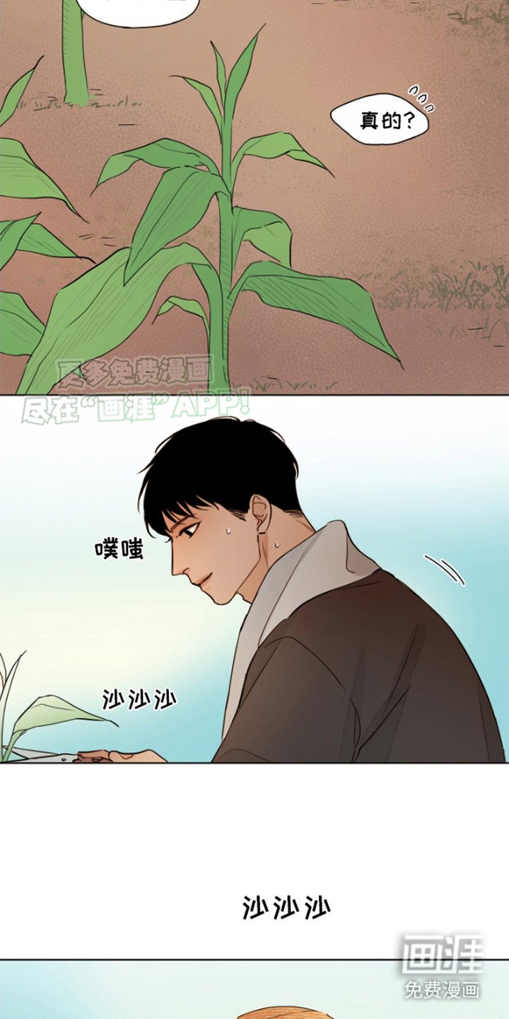 第11章：告别