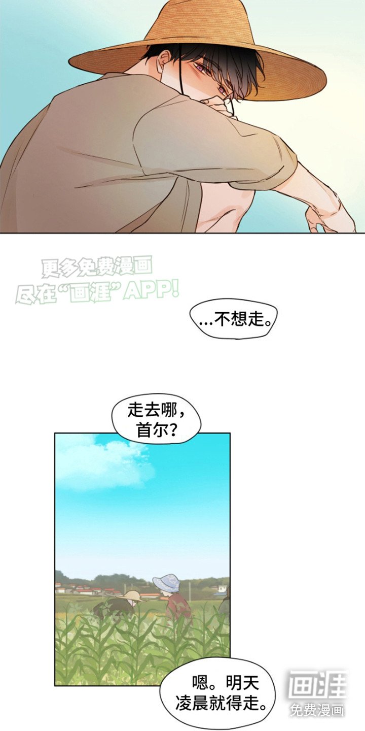 第11章：告别