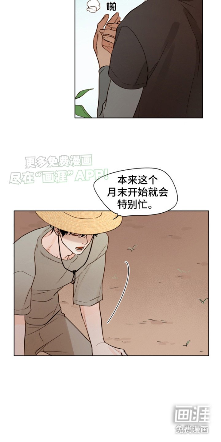 第11章：告别
