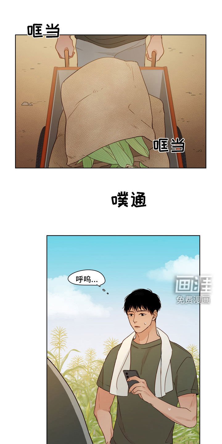 第13章：真是太好了