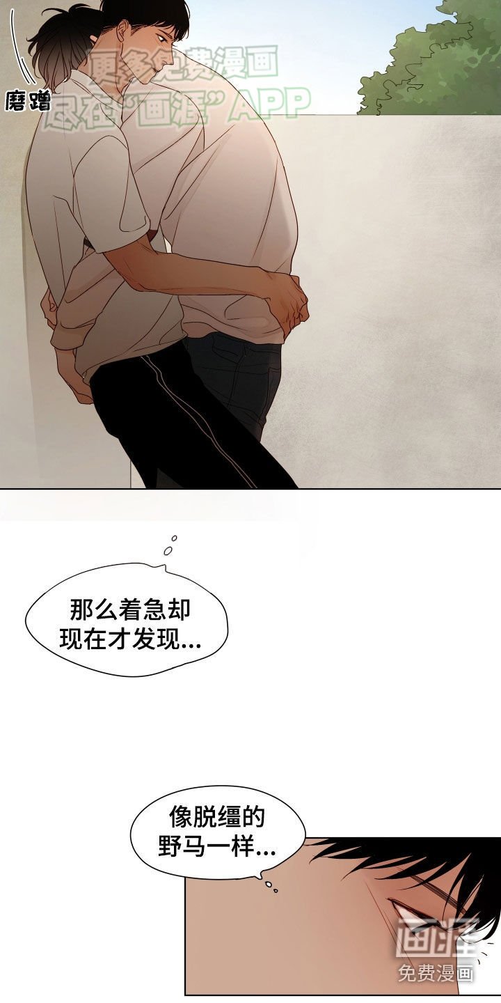 第16章：迟钝