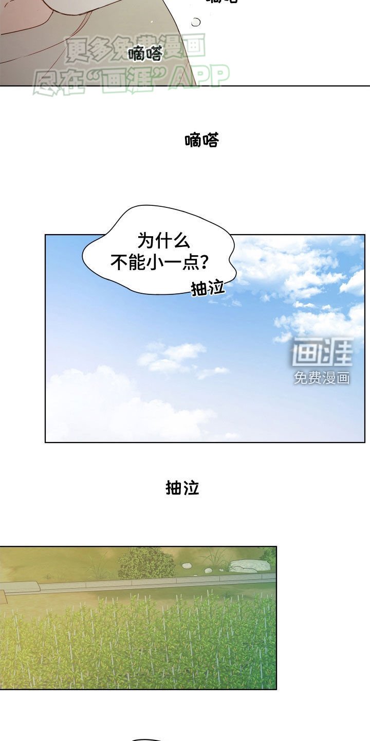 第17章：困惑