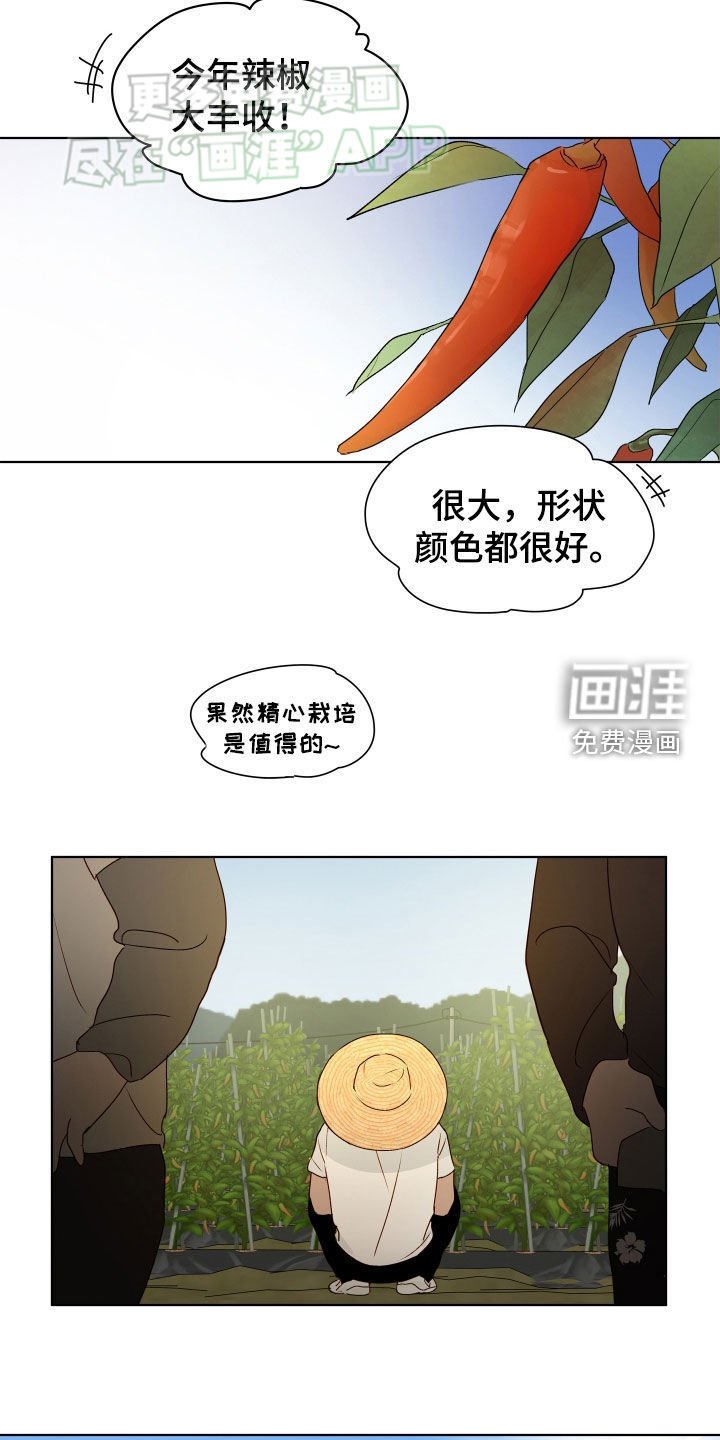 第17章：困惑