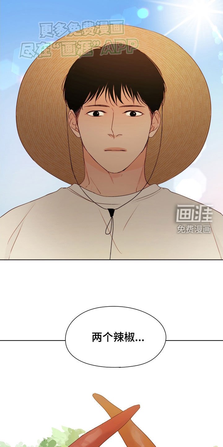 第17章：困惑