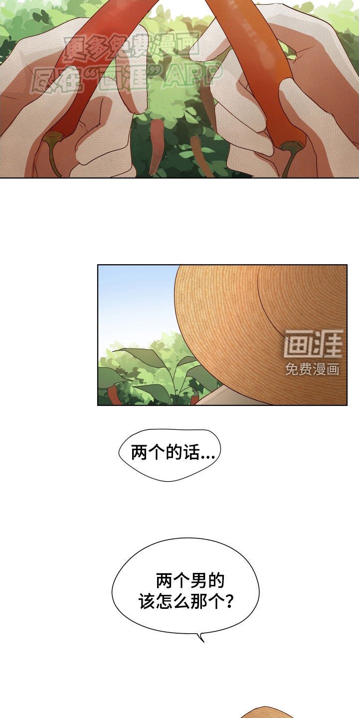 第17章：困惑