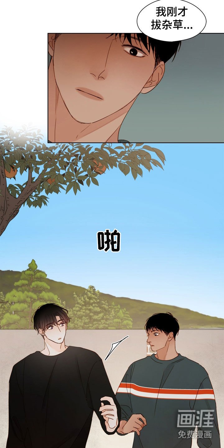 第34章：躲避
