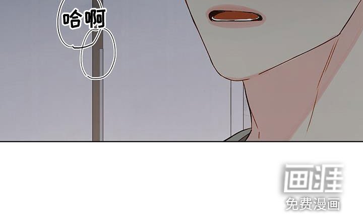 第37章：电话