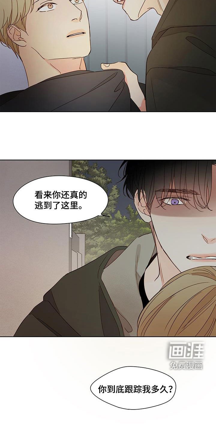 第49章：销毁证据