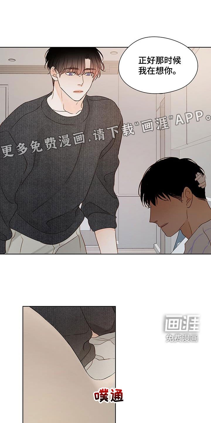 第52章：别再见了