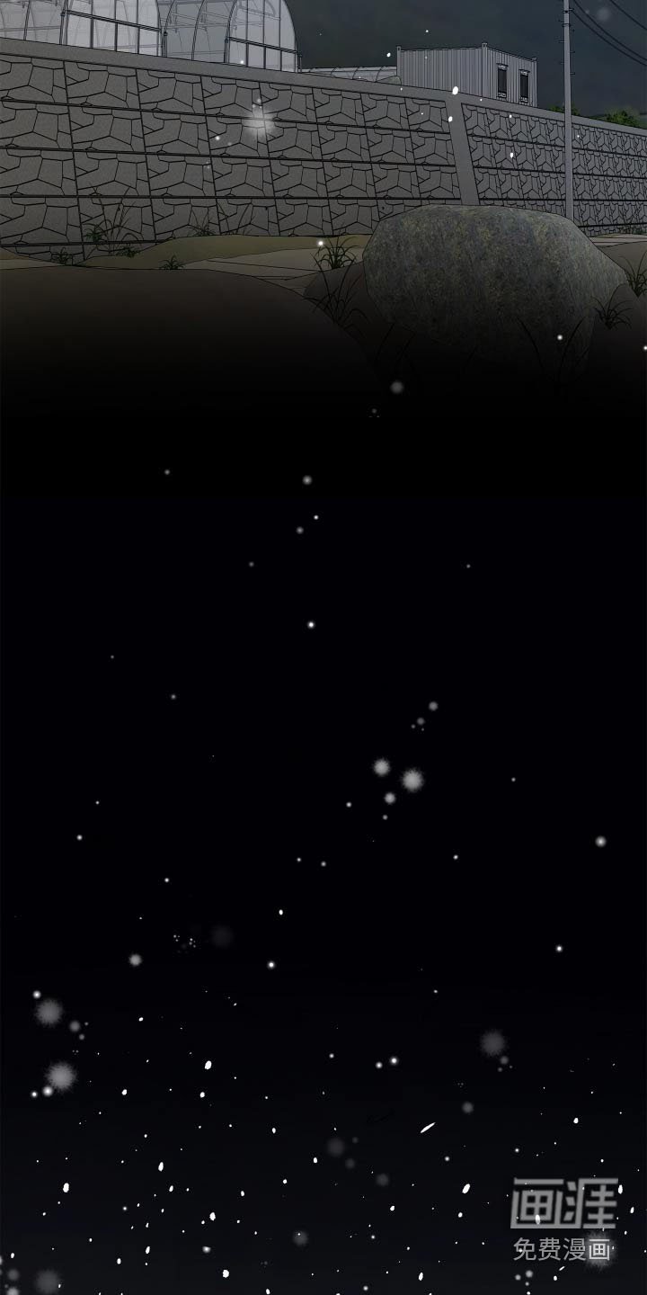 第60章：【第二季完结】戒指